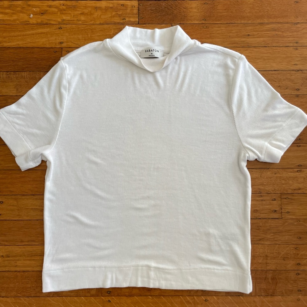 Babaton Formarib Mock Neck T-Shirt